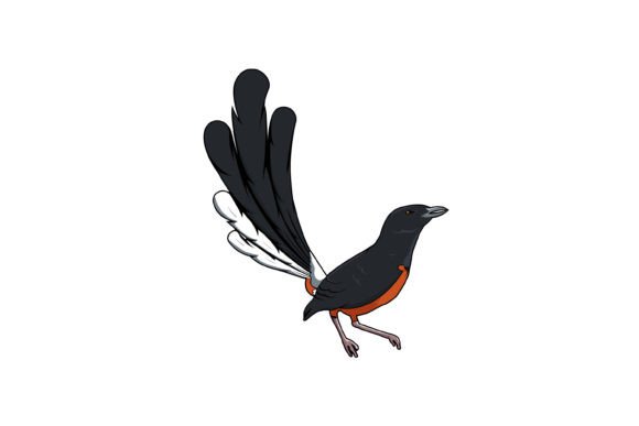 Magpie Robin Bird Design Vector for Branding and Marketing